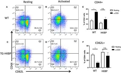 experimental autoimmune uveitis score